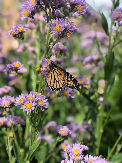insect eggs identification guide usa